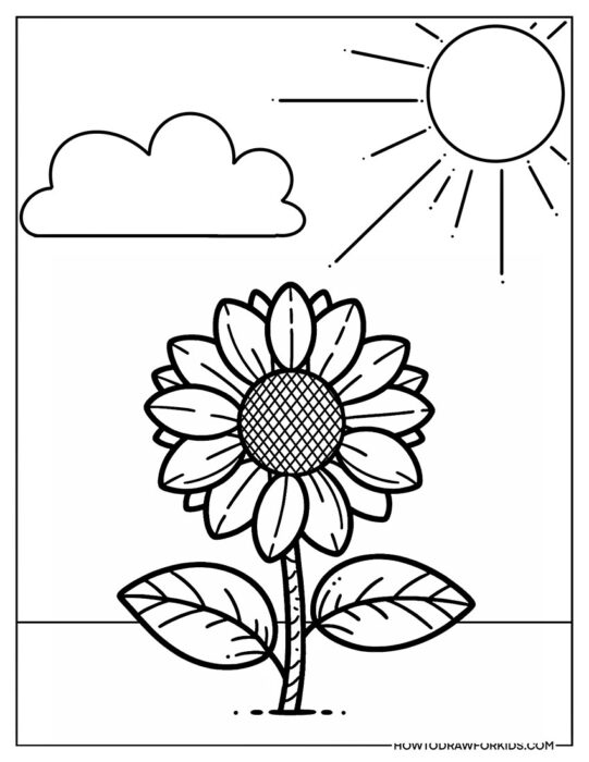 Sunflower and Sun Coloring Page