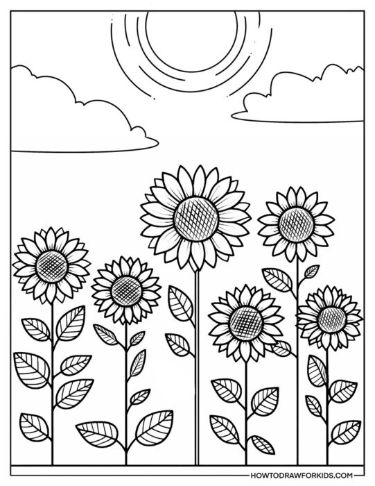 Sunflowers Under the Sun Coloring