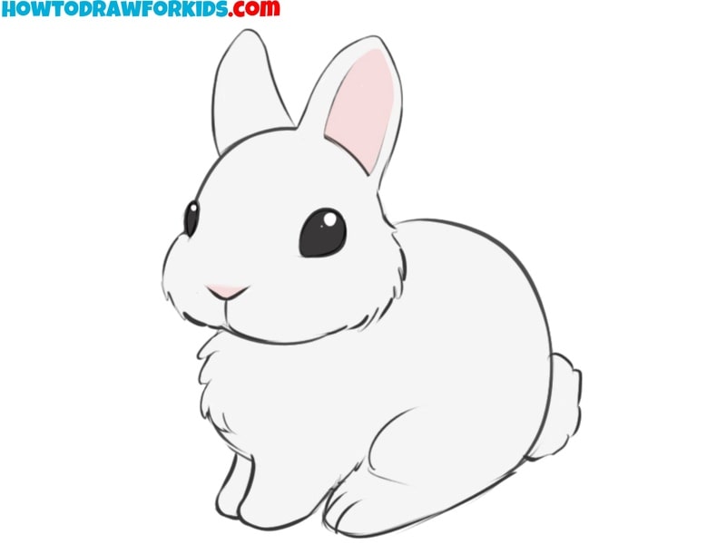 How to draw a bunny featured image