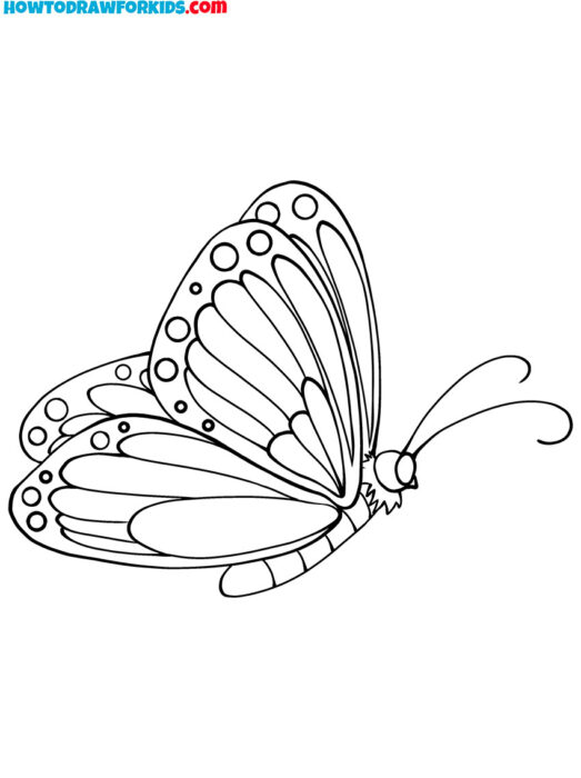 Butterfly From the Side Coloring Page