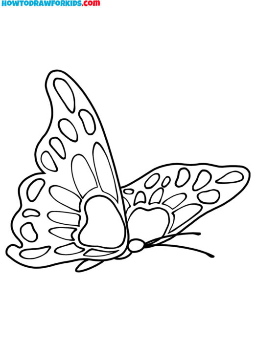 Flying Butterfly From Coloring Page