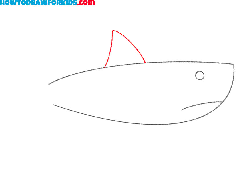 Add the dorsal fin