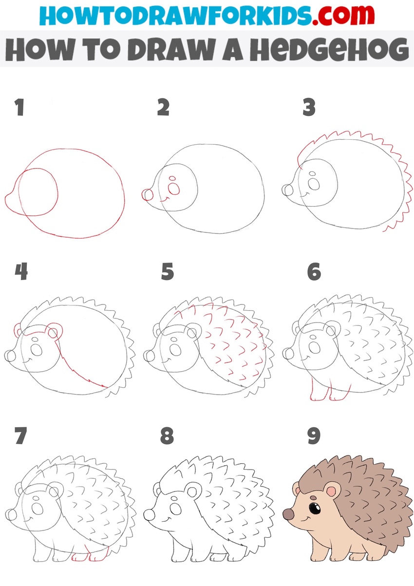 How to Draw a Hedgehog Featured Image