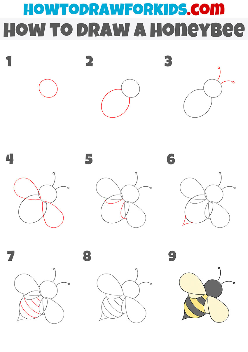 How to draw a bee step by step