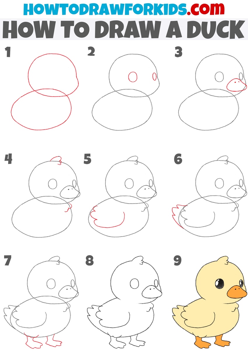 How to draw a duck step by step