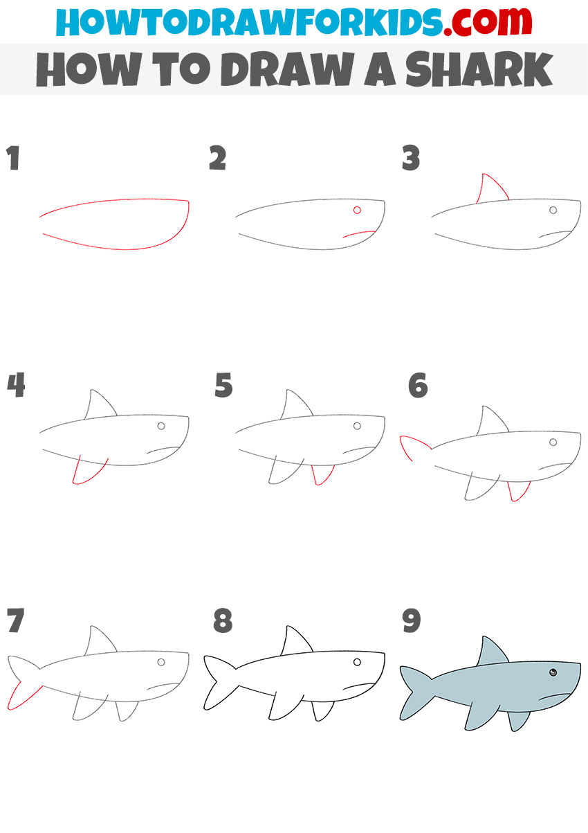 How to draw a shark step by step