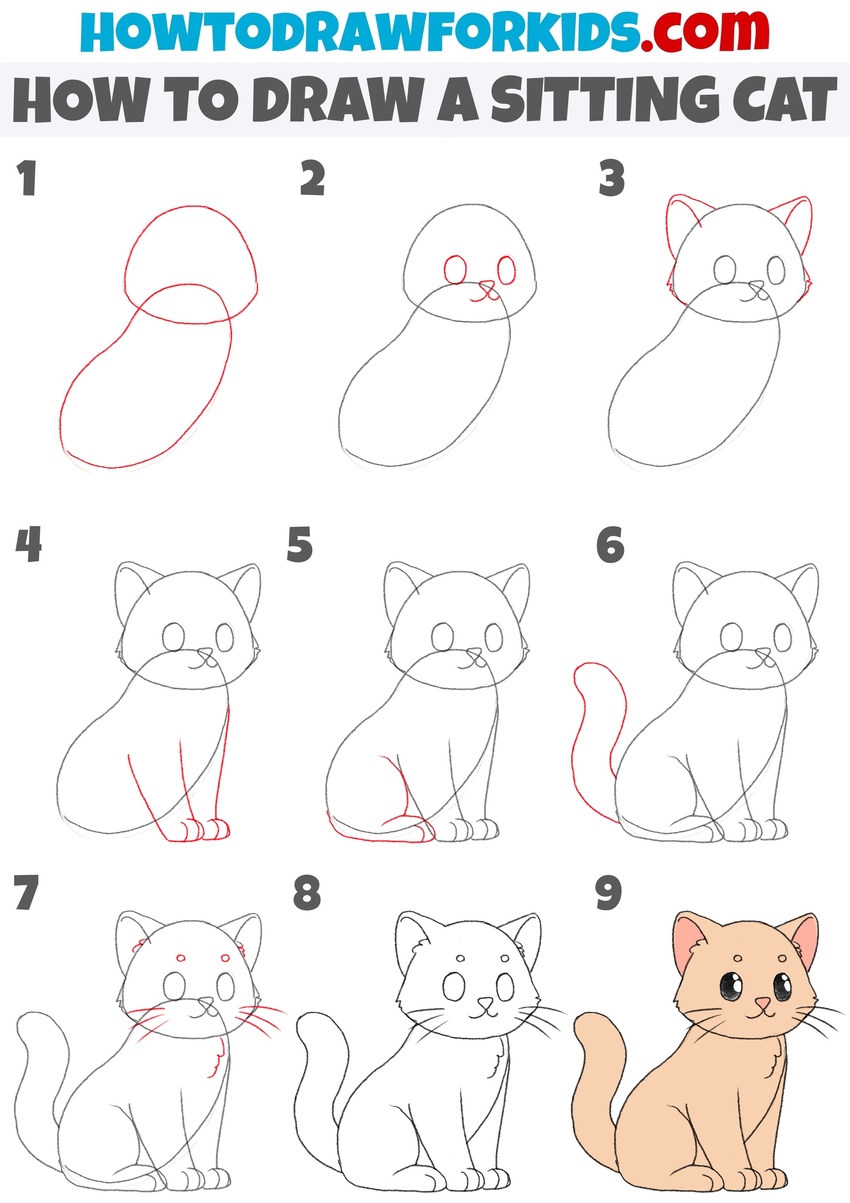 How to draw a sitting cat step by step