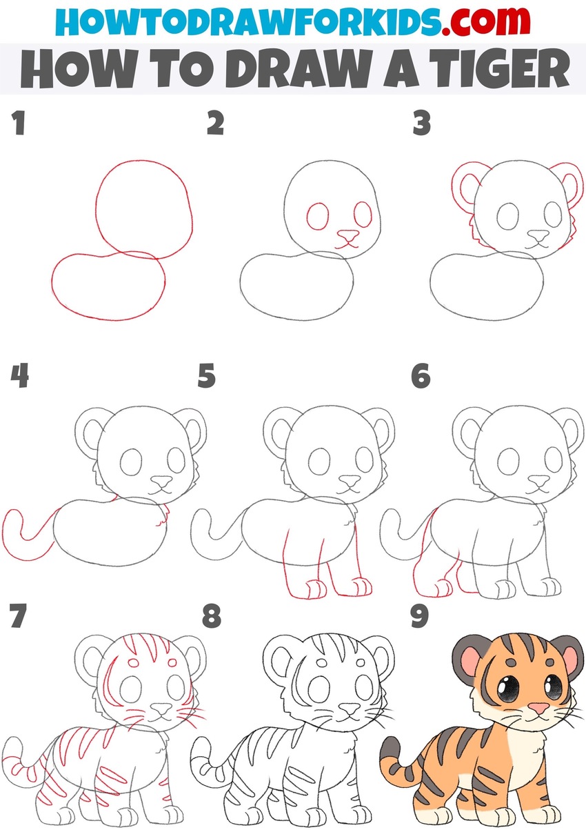 How to draw a tiger step by step