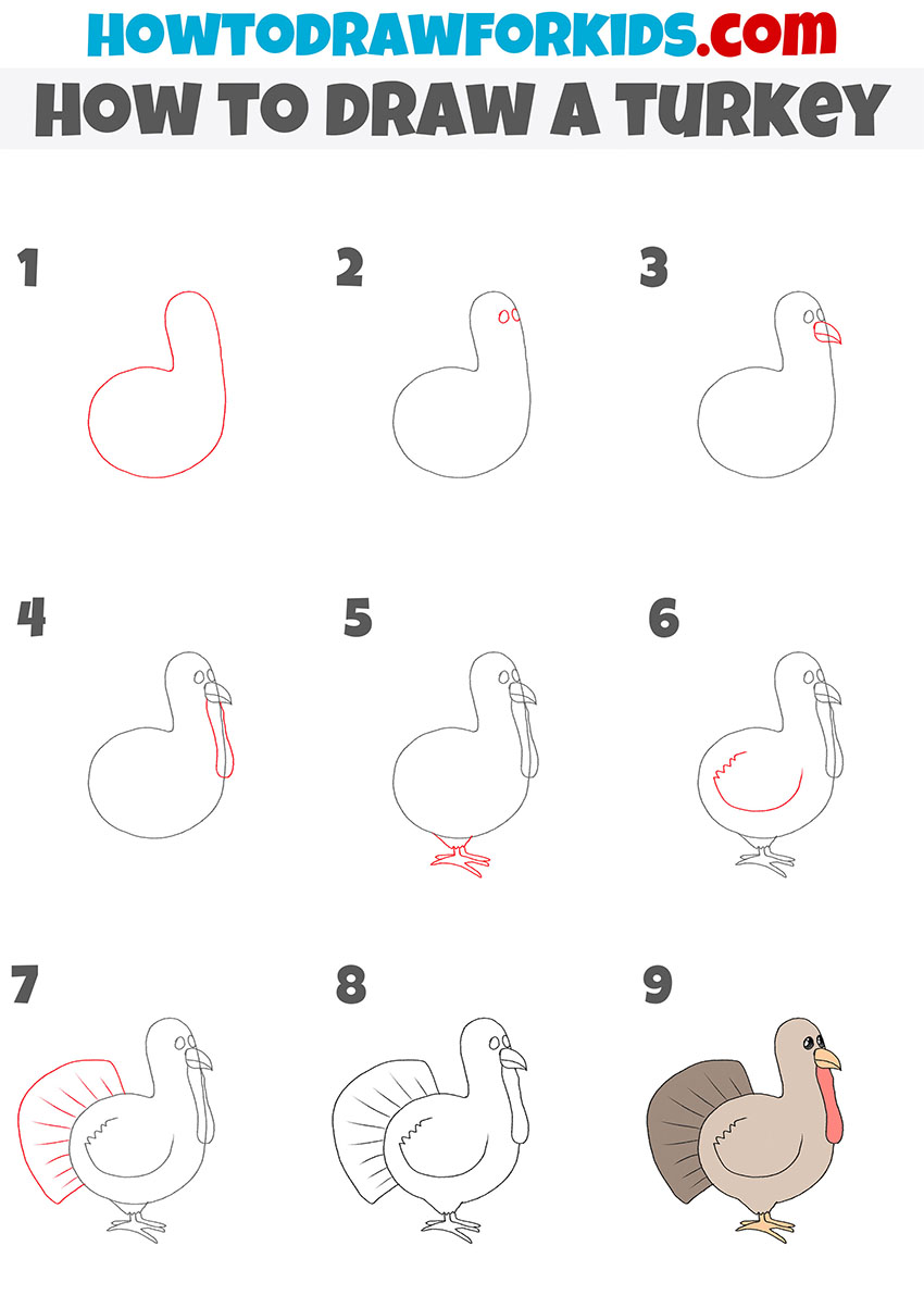 How to draw a turkey step by step