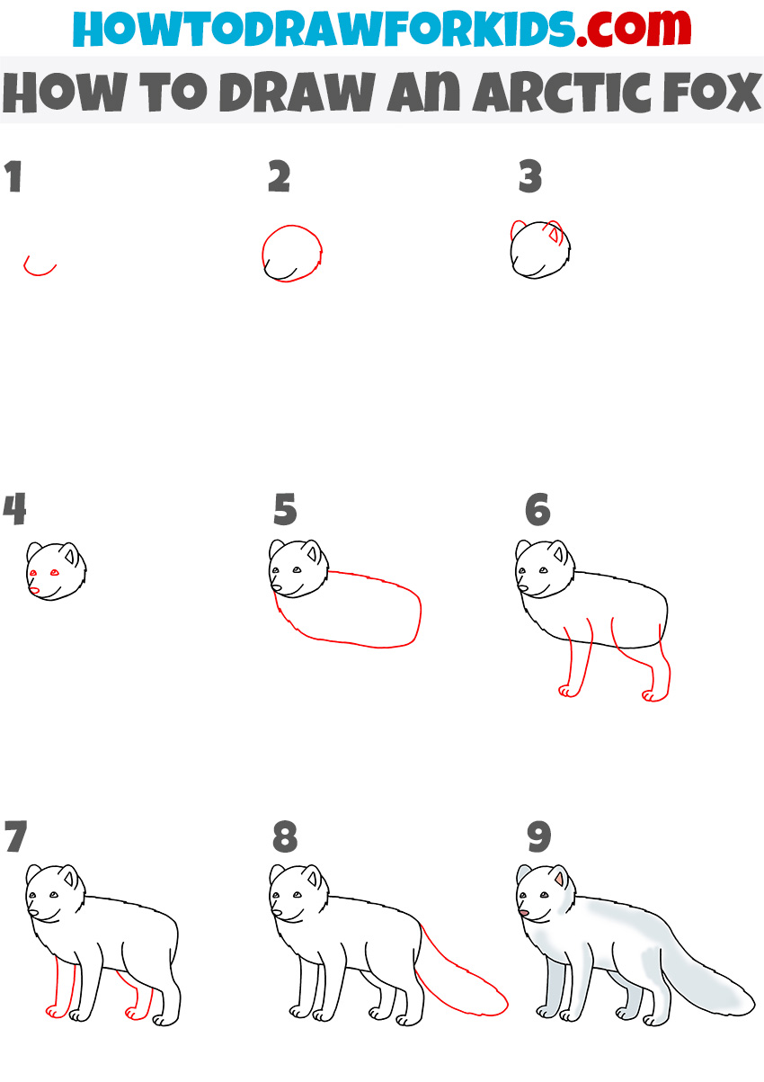 Alternative arctic fox drawing tutorial