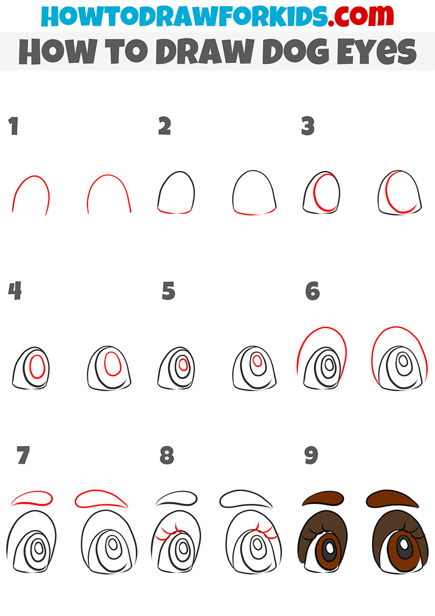 Cartoon dog eyes drawing tutorial