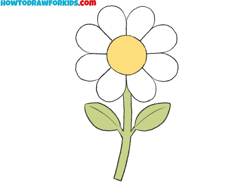 Color the chamomile