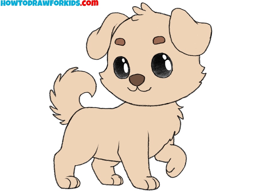 Add colors to the cute dog