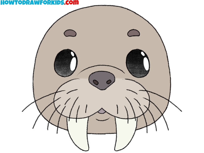 Add color to the walrus face