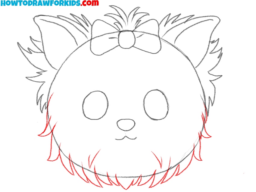 Outline the fur on the cheeks and chin