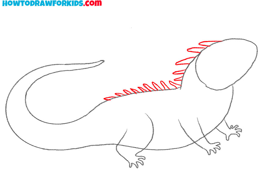 Draw the dorsal comb of the iguana