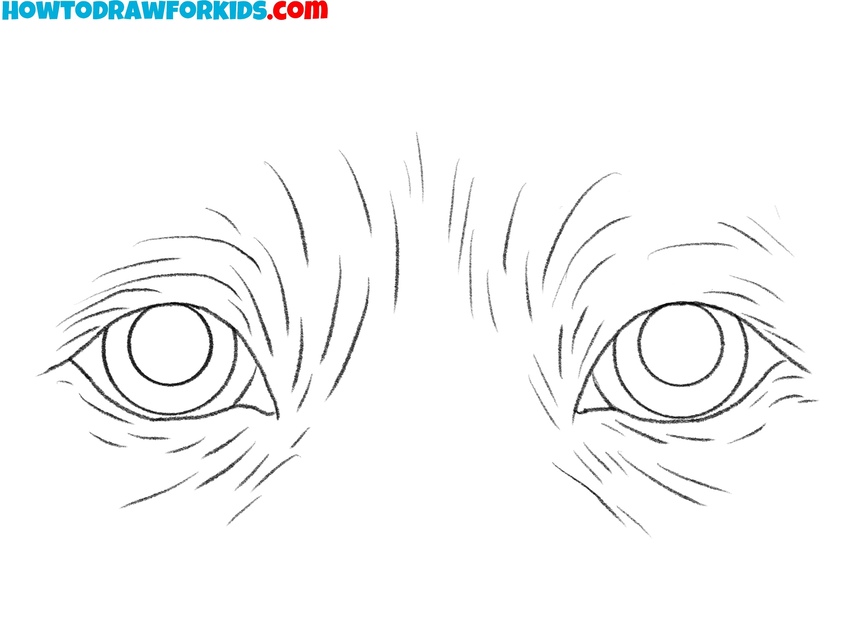 Finalize the dog eyes sketch