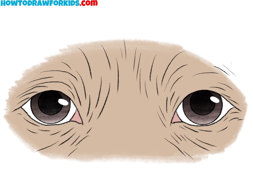 Color the dog eyes and the fur around them