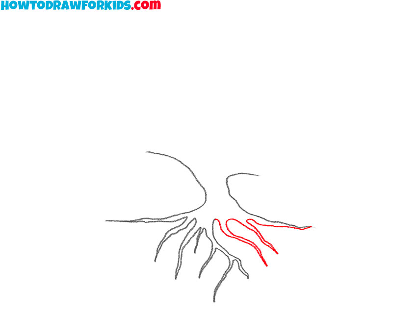 Draw the roots on the right side