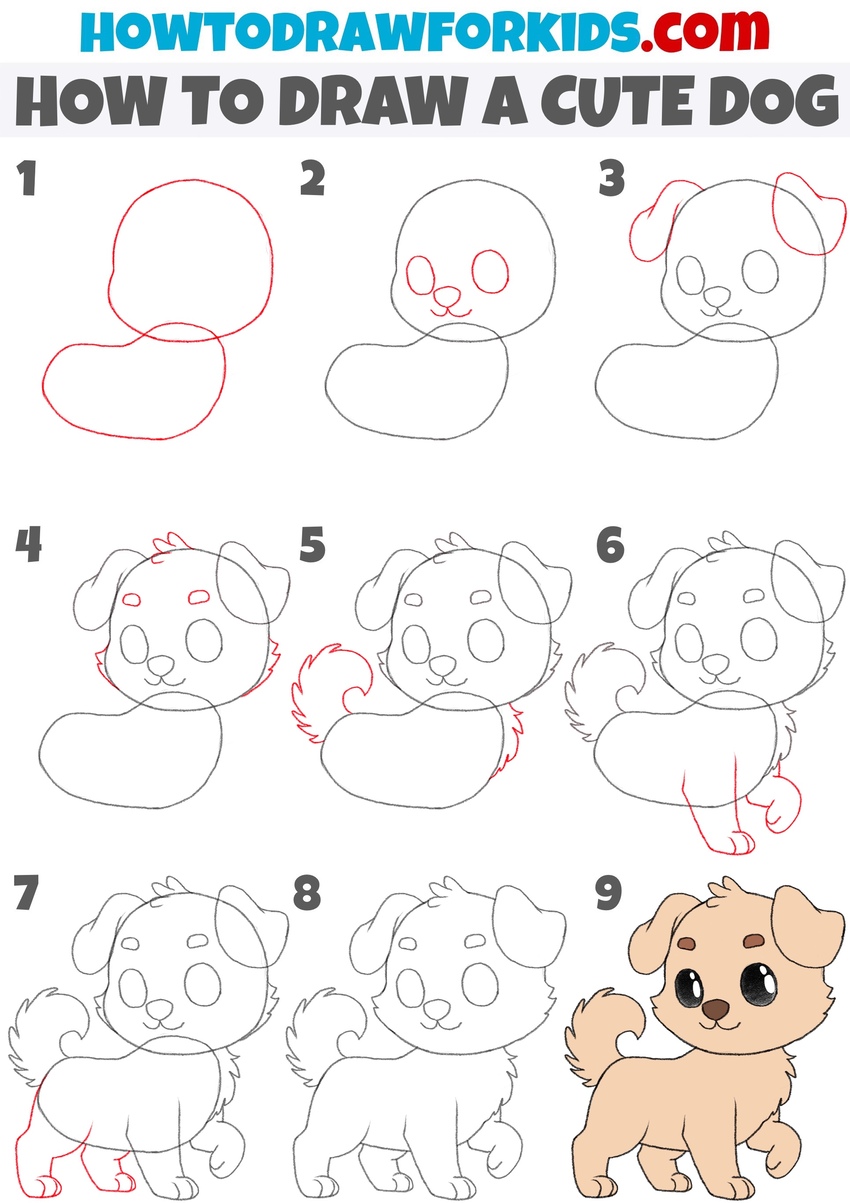 How to draw a cute dog step by step