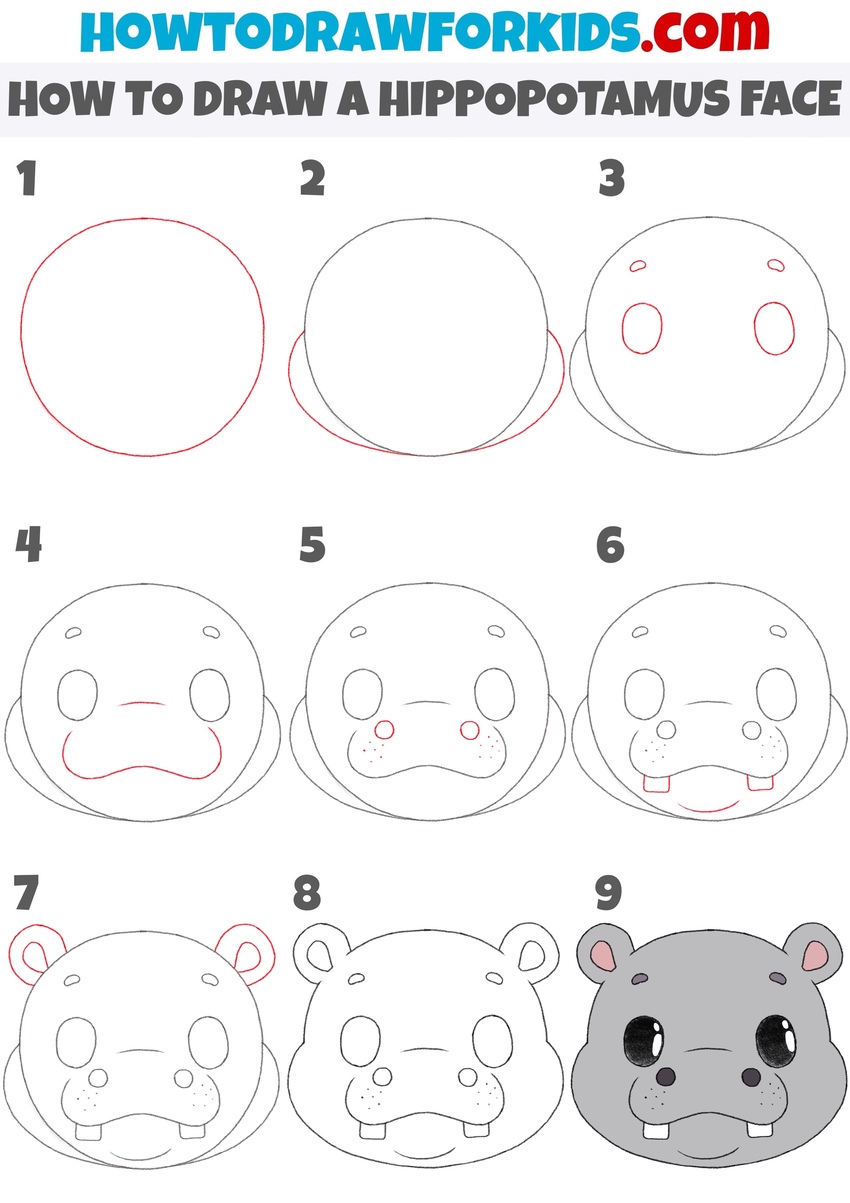 How to draw a hippopotamus face step by step