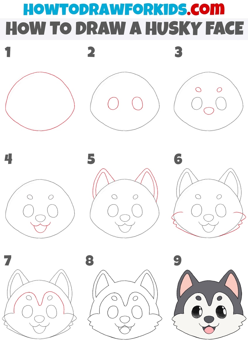 How to draw a husky face step by step