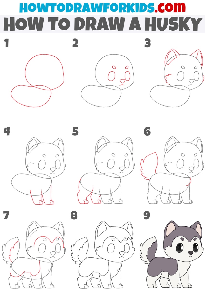 How to draw a husky step by step