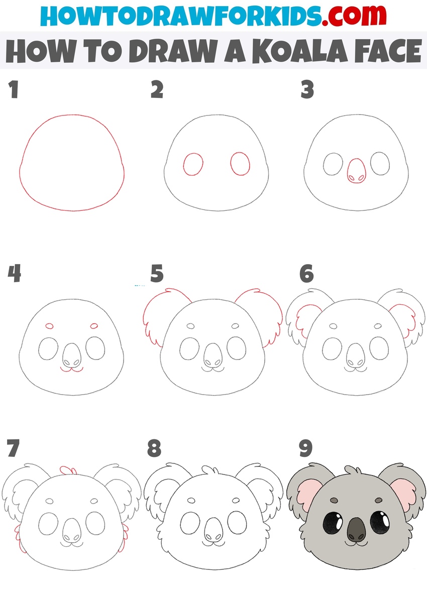 How to draw a koala face step by step