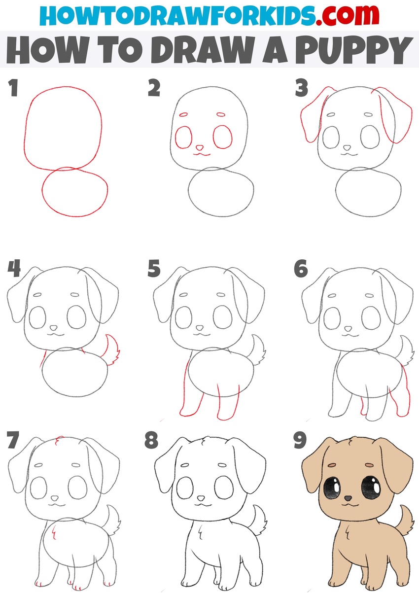 How to draw a puppy step by step