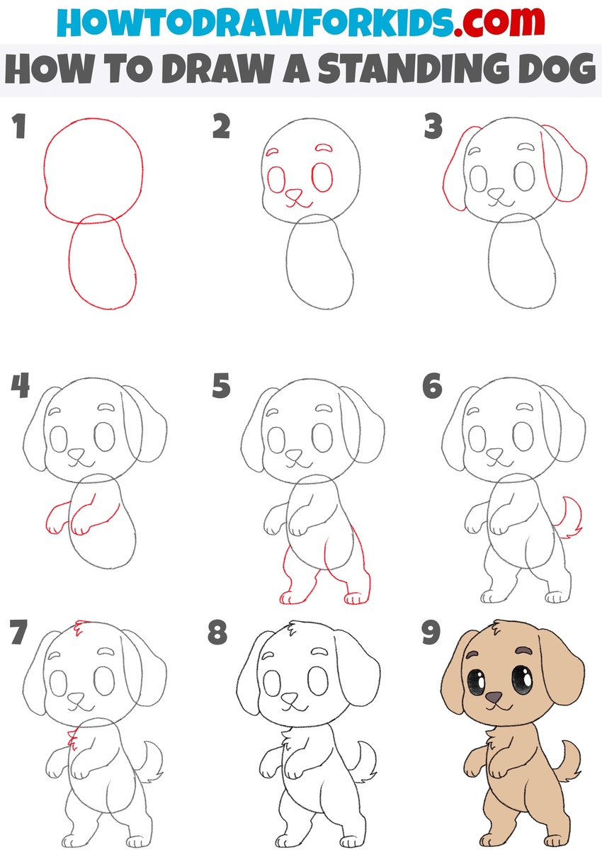 How to draw a standing dog step by step