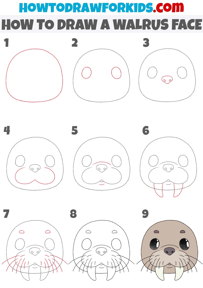 How to draw a walrus step by step