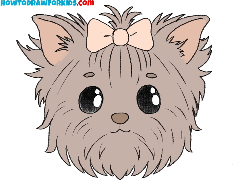 How to draw a yorkie face step by step