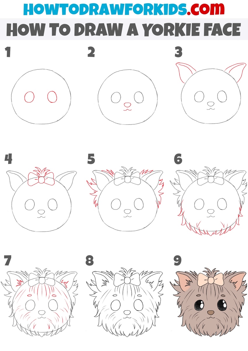 How to draw a yorkie face step by step