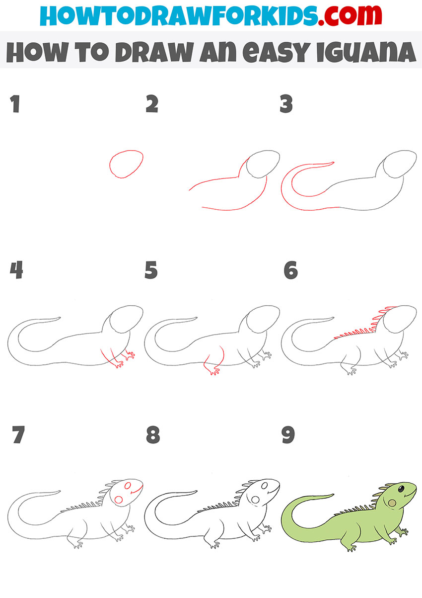 How to draw an iguana step by step