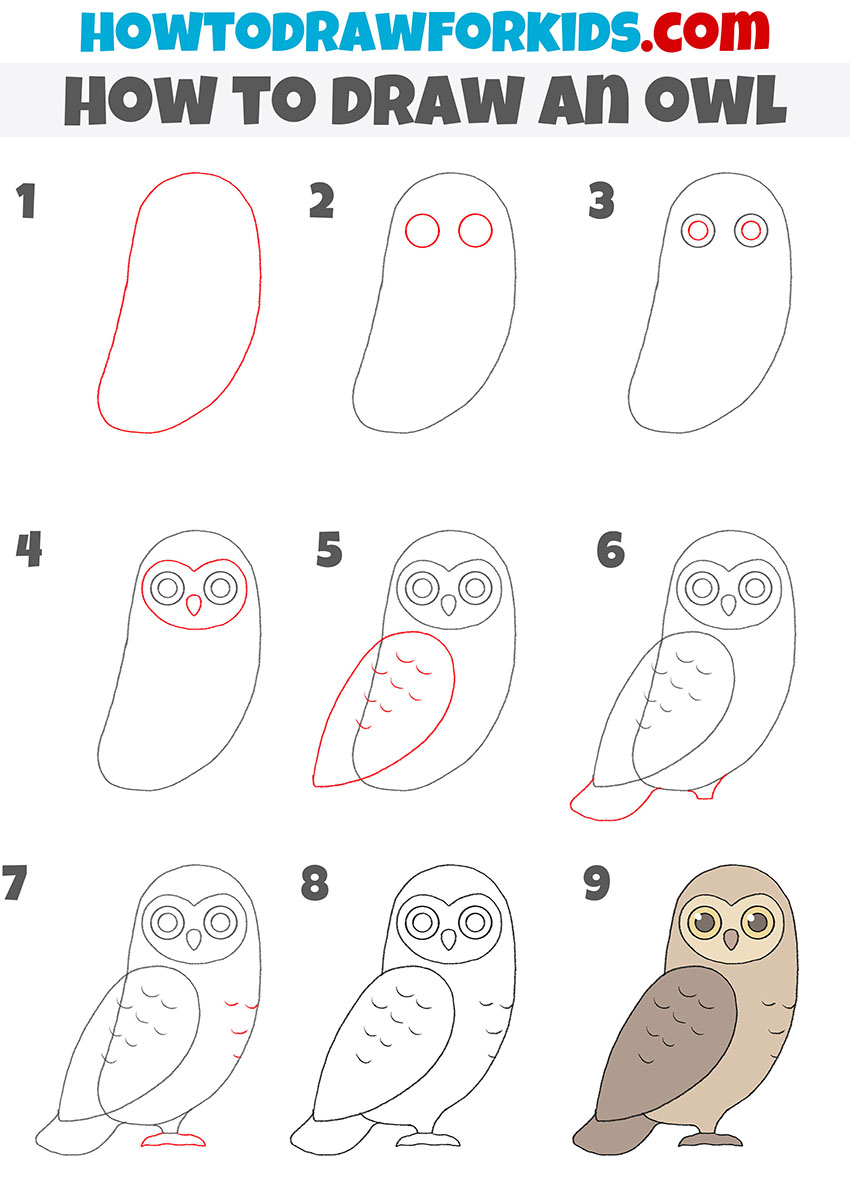 How to draw an owl step by step