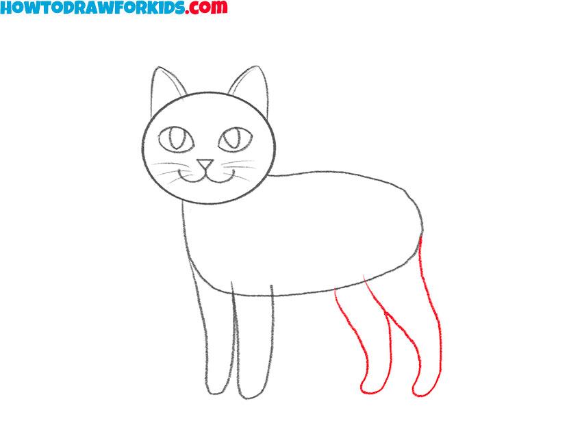 Add the hind legs and paws