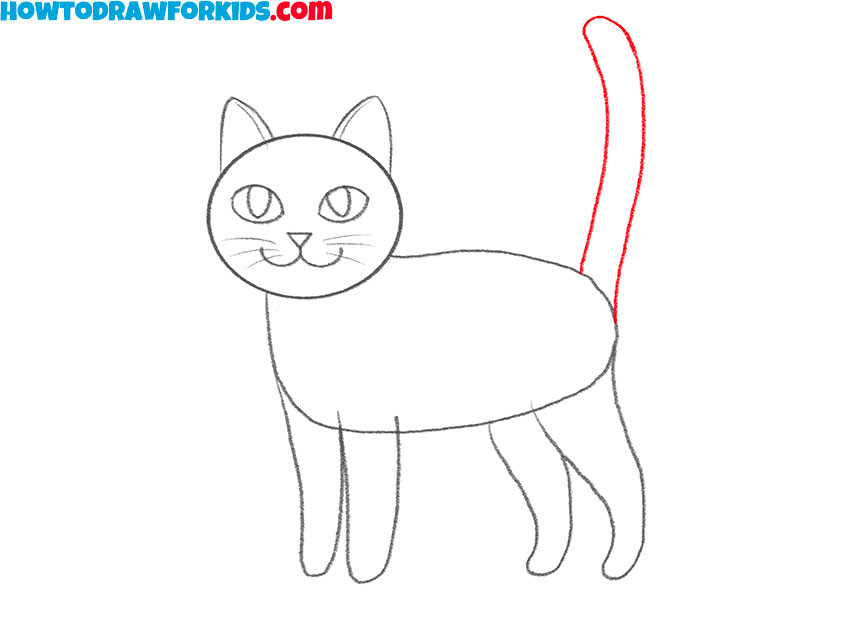 Sketch the cat's tail