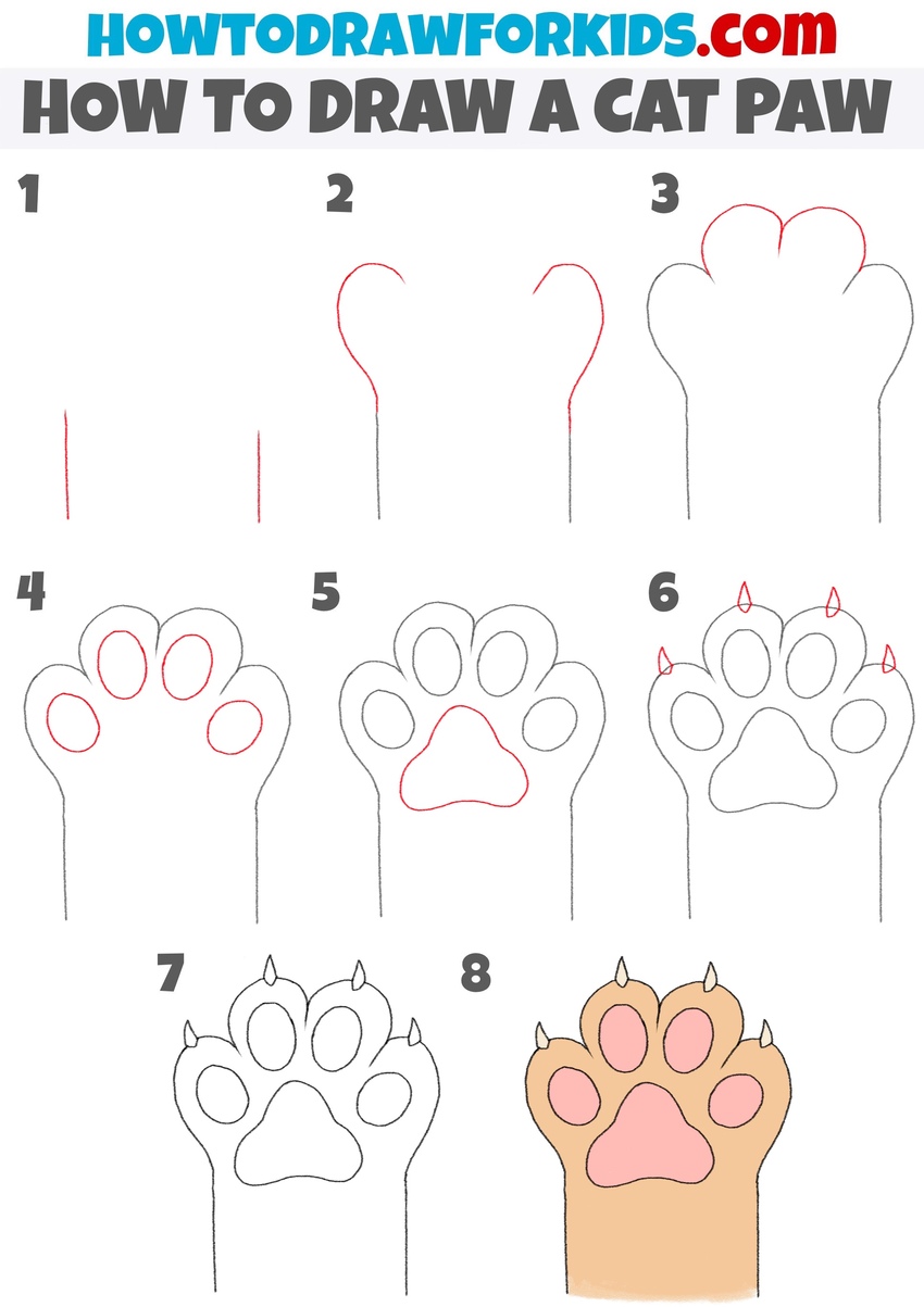 How to draw a cat paw step by step