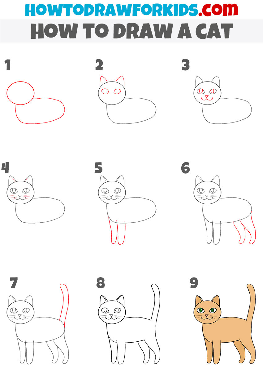 How to draw a cat step by step