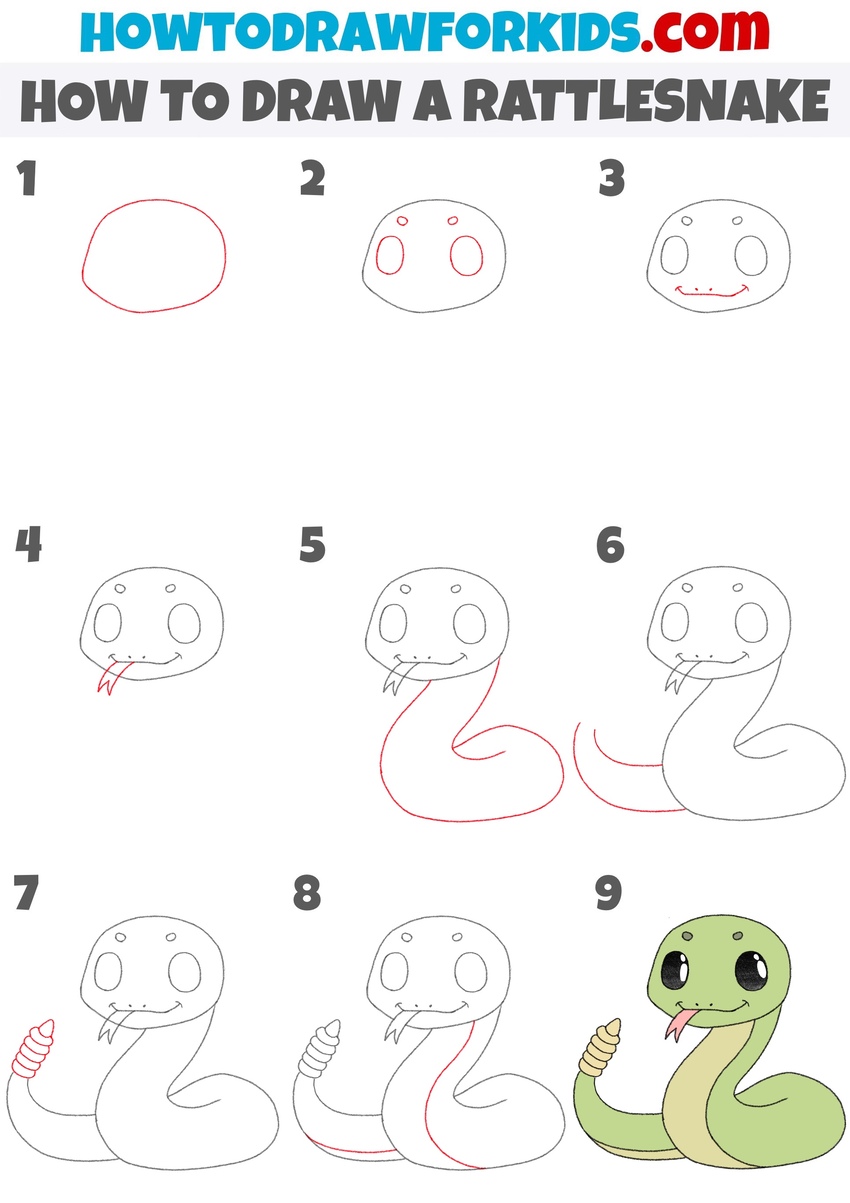 How to draw a rattlesnake step by step