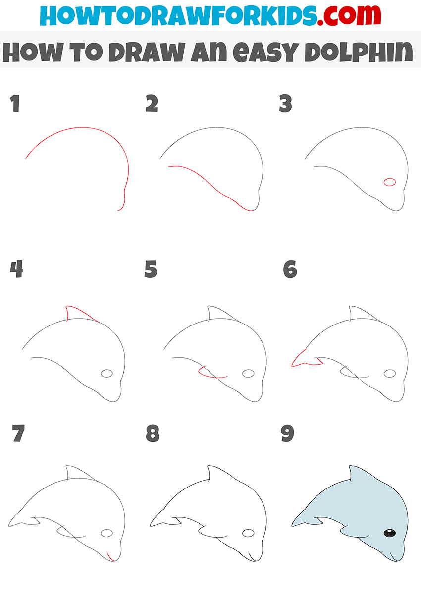 Easy dolphin drawing tutorial