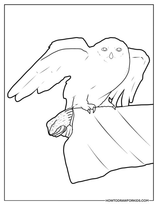 Hedwig on Arm Coloring Sheet