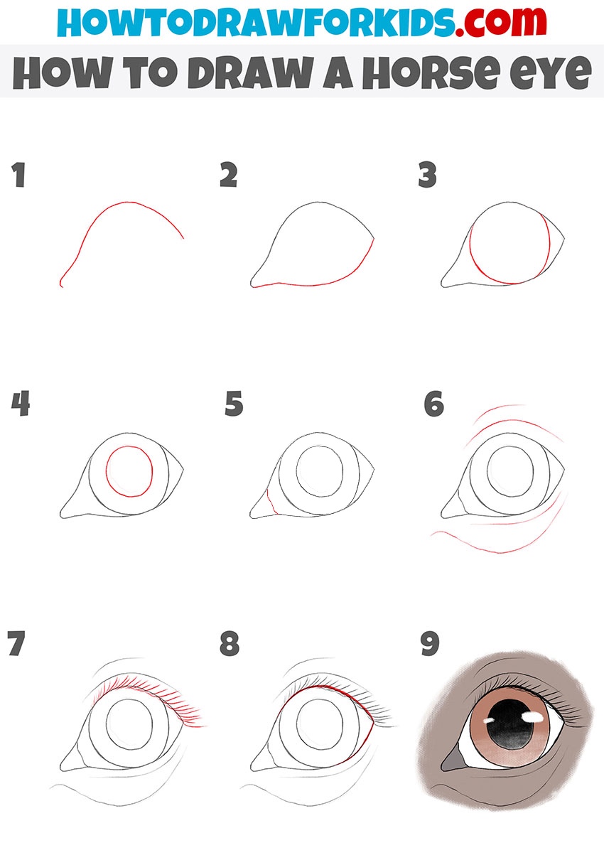 How to draw a horse eye step by step