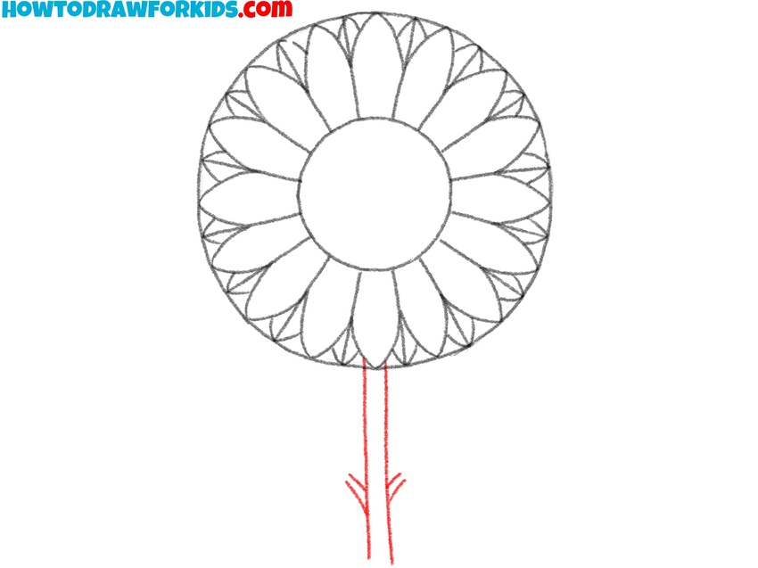 Draw the sunflower stem