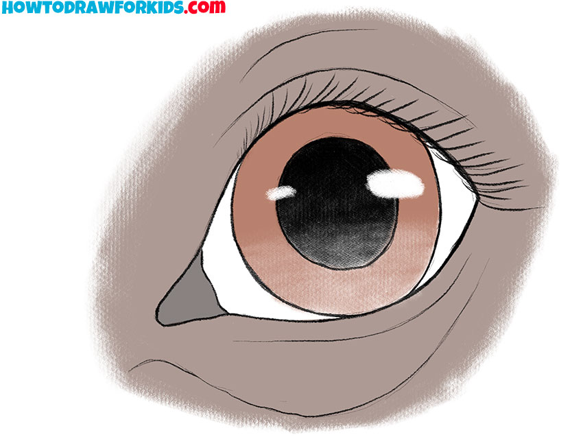 How to draw a horse eye featured image