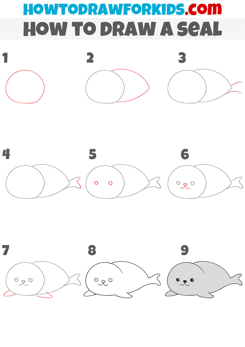 How to draw a seal step by step