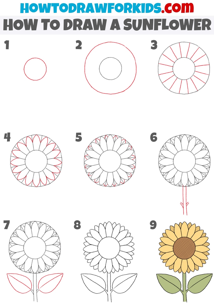 How to draw a sunflower step by step