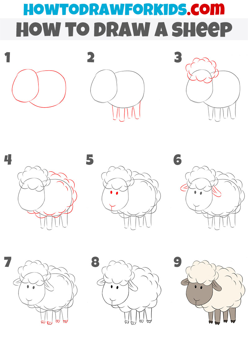 Simple sheep drawing tutorial