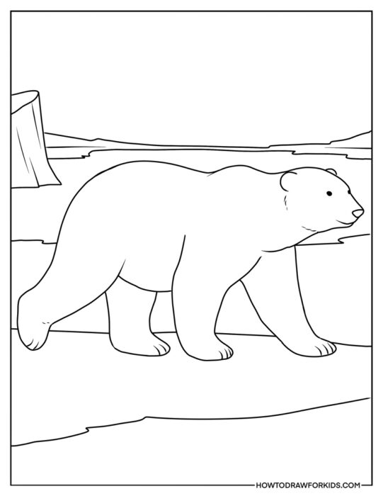 Coloring Page of Polar Bear on the North Pole