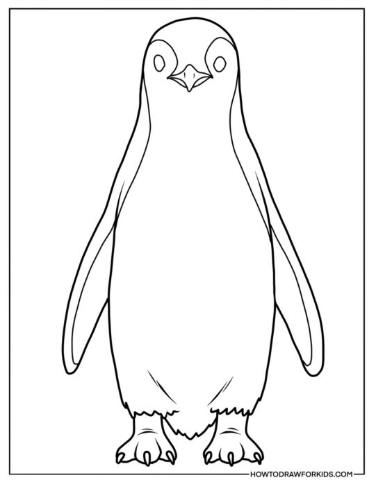 Penguin from the Front Coloring Sheet